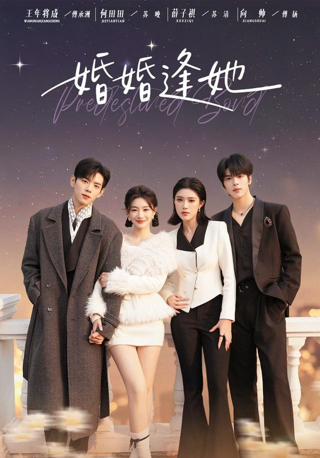 婚婚逢她封面图