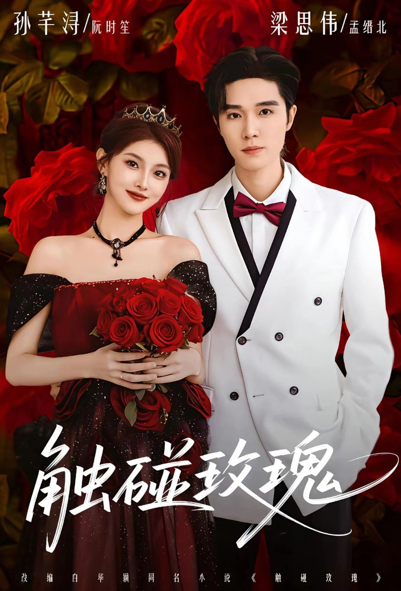 触碰玫瑰（凌晨四点半）玫瑰花未眠封面图