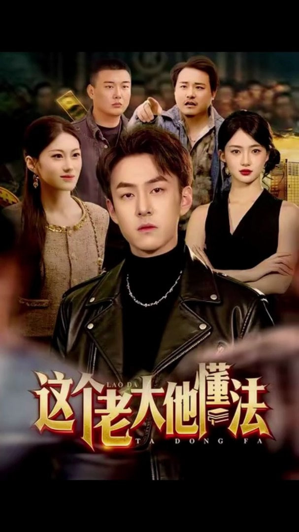 这个老大他懂法封面图