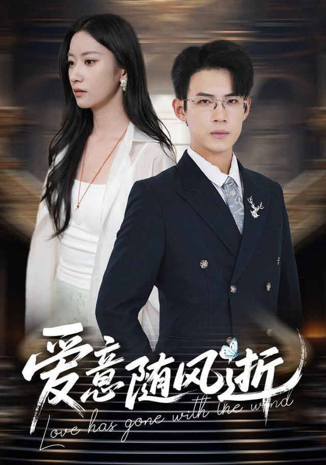 爱意随风起航封面图