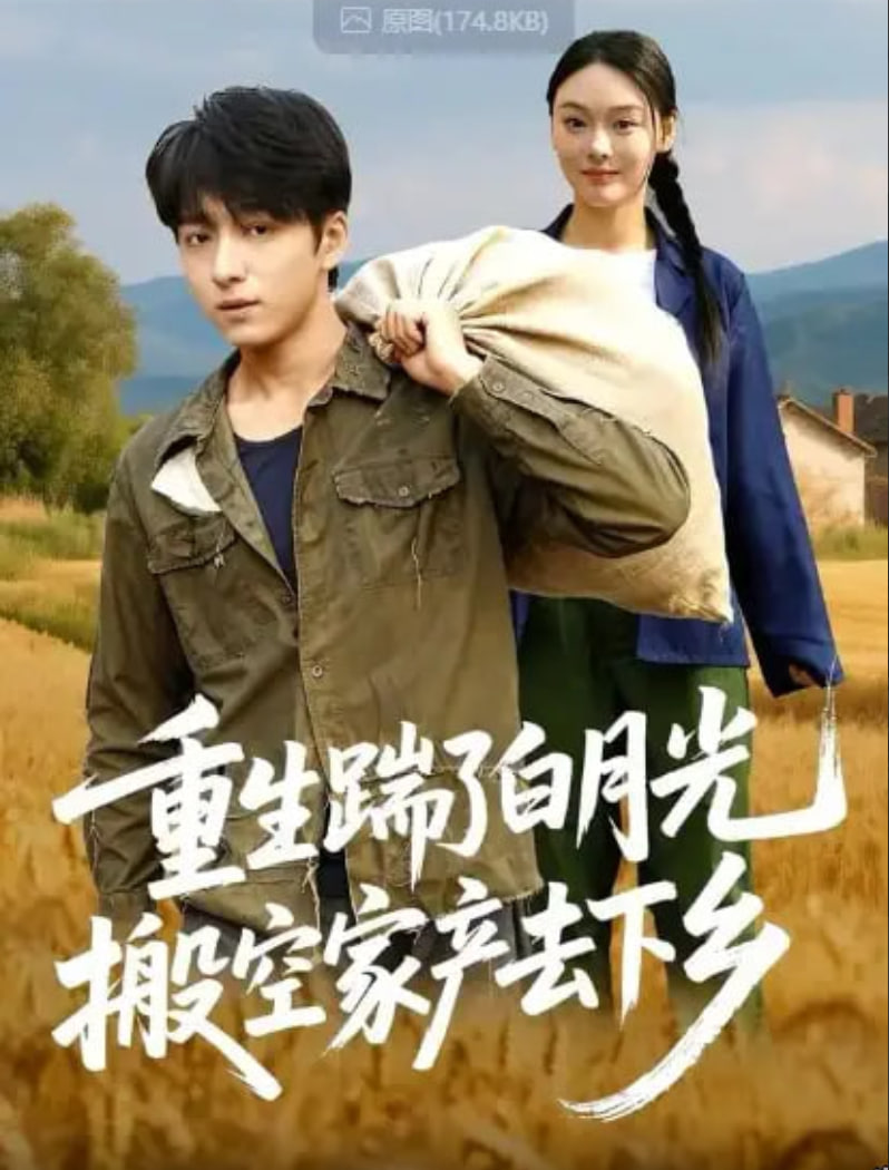重生踹了白月光搬空家产去下乡封面图