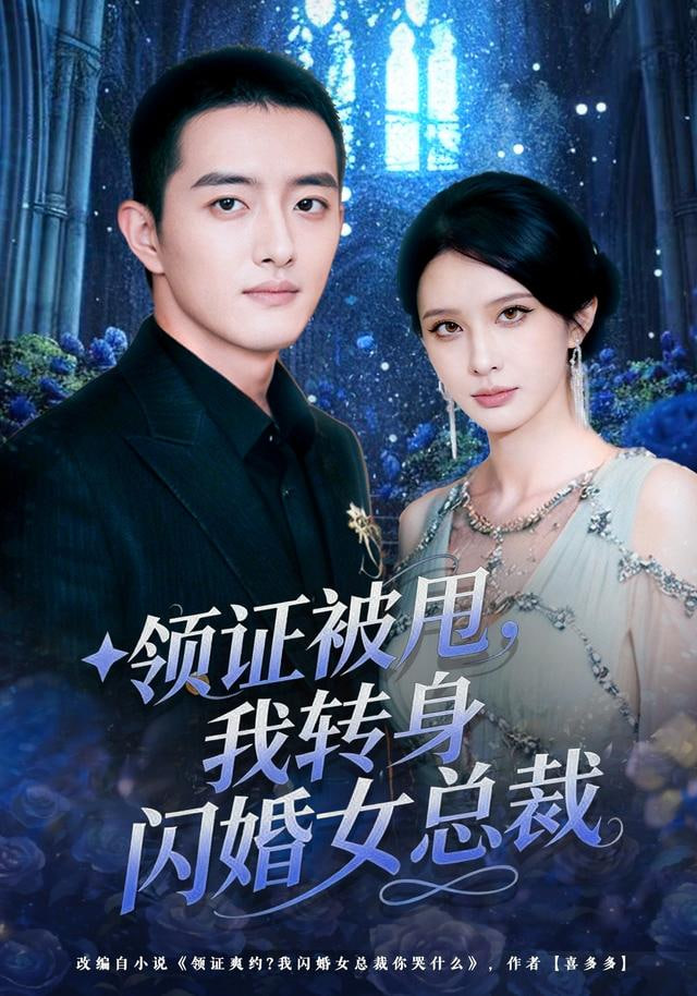 领证被甩，我转身闪婚女总裁封面图