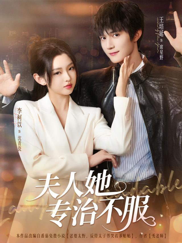 程少你柔弱不能自理的夫人又打架了封面图