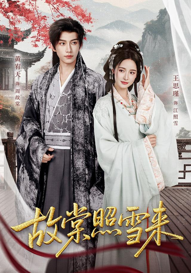 雪满东院封面图