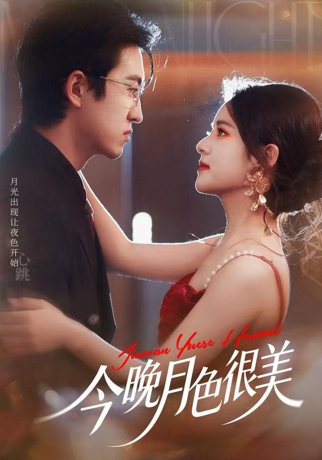 今晚月色很美封面图