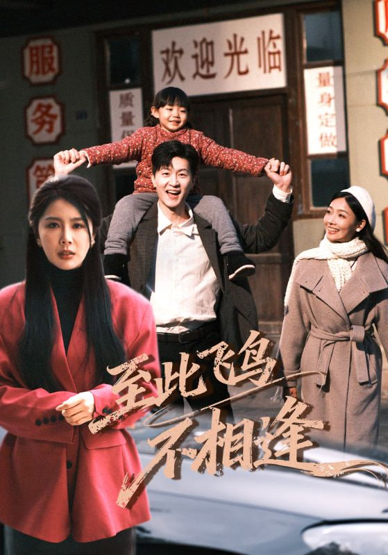 至此飞鸟不相逢封面图