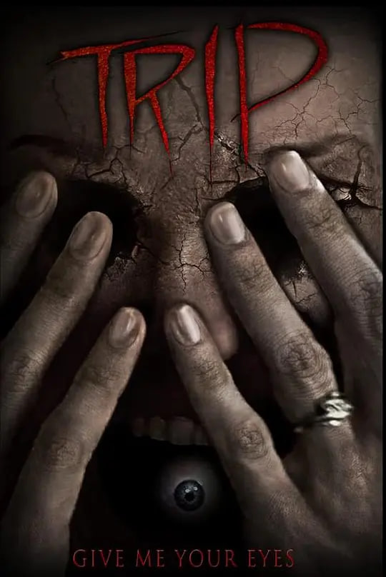 寻女之旅封面图