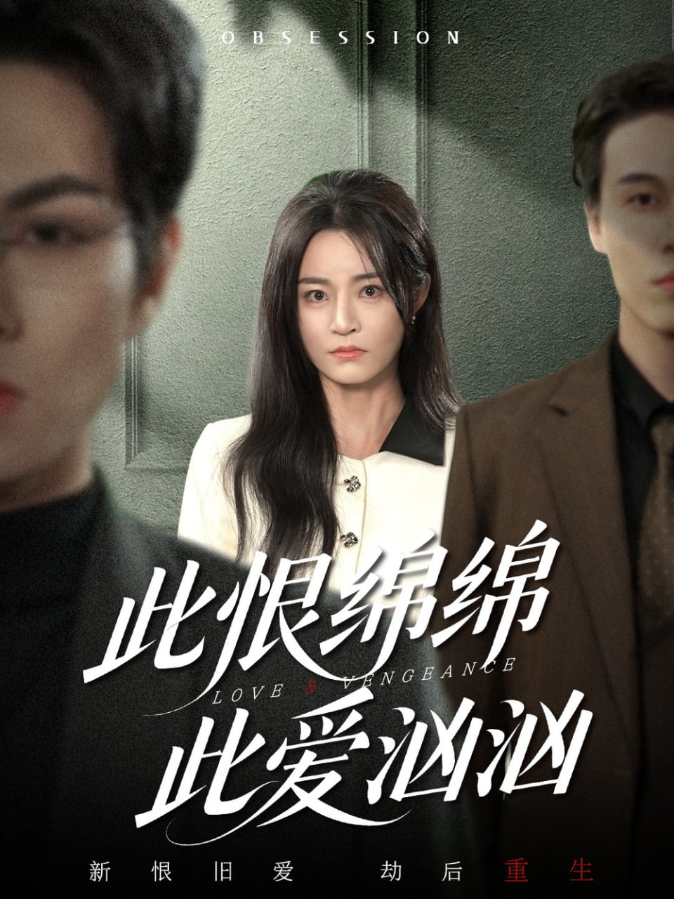 此恨绵绵此爱汹汹封面图