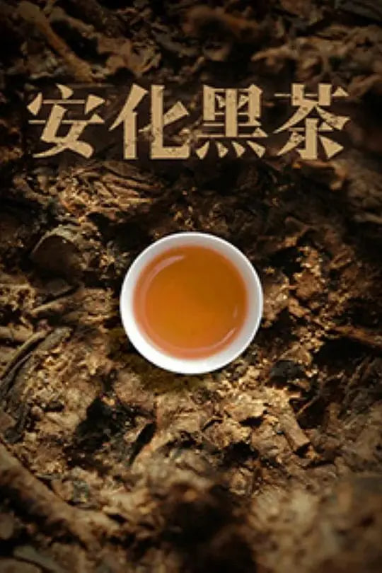 安化黑茶封面图