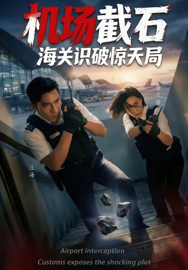 机场截石，海关识破惊天局封面图