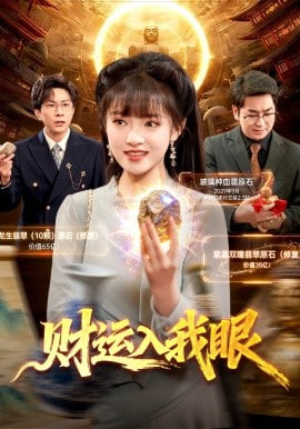 财运入我眼封面图