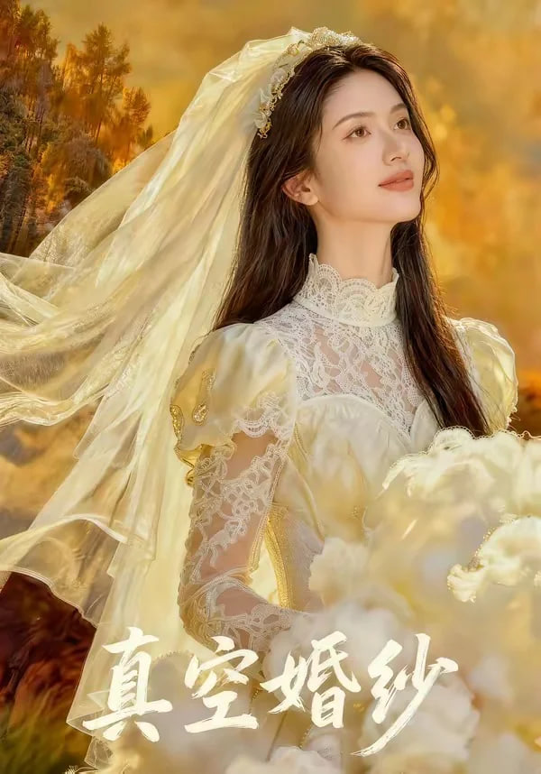 真空婚纱封面图