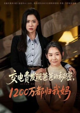 交电费发现爸爸的秘密1200万都归我妈封面图