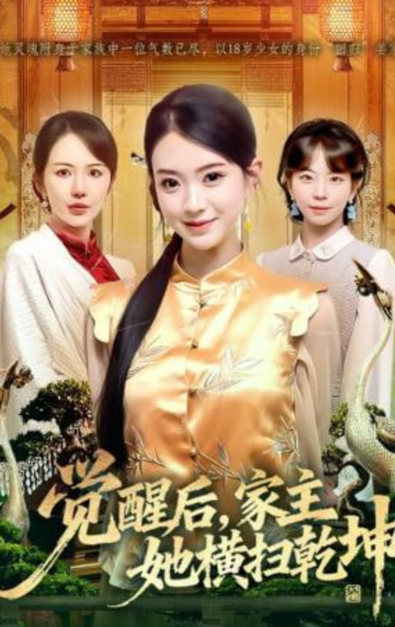 觉醒后，家主她横扫乾坤封面图