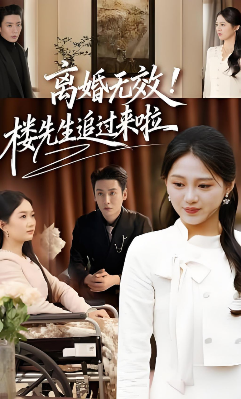 离婚无效！楼先生追过来啦封面图