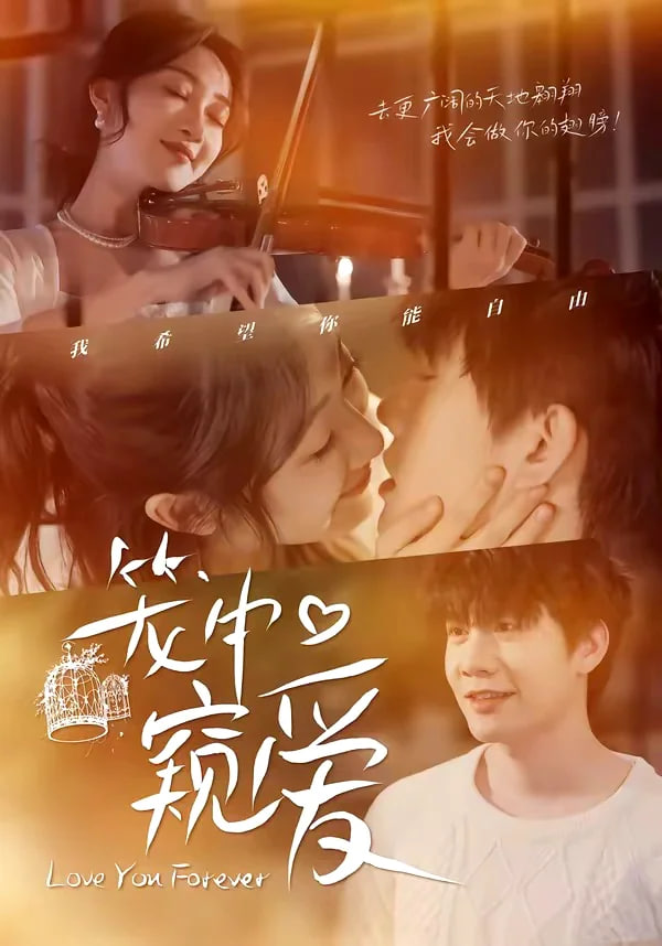 笼中窥爱封面图