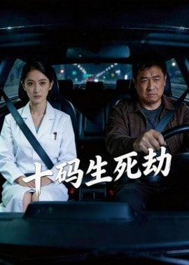 十码生死劫封面图