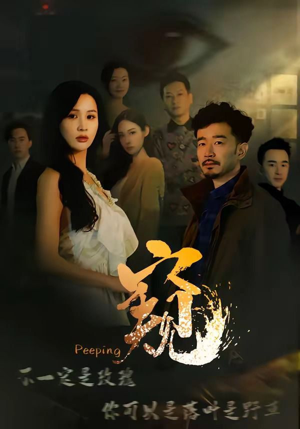 窥（窥伺）封面图