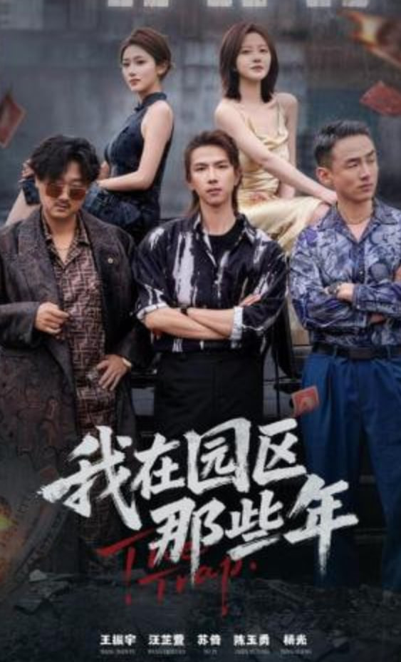 我在园区那些年封面图