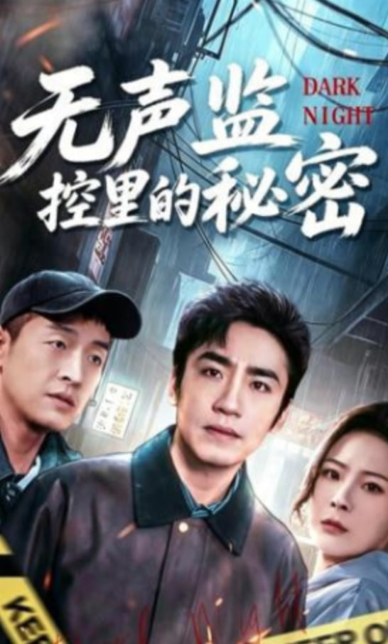 无声监控里的秘密封面图