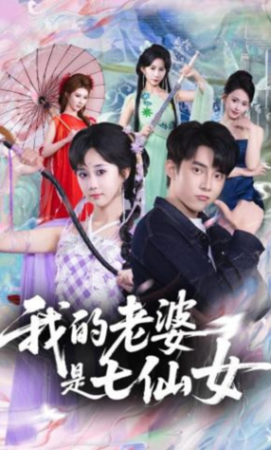 我的老婆是七仙女封面图