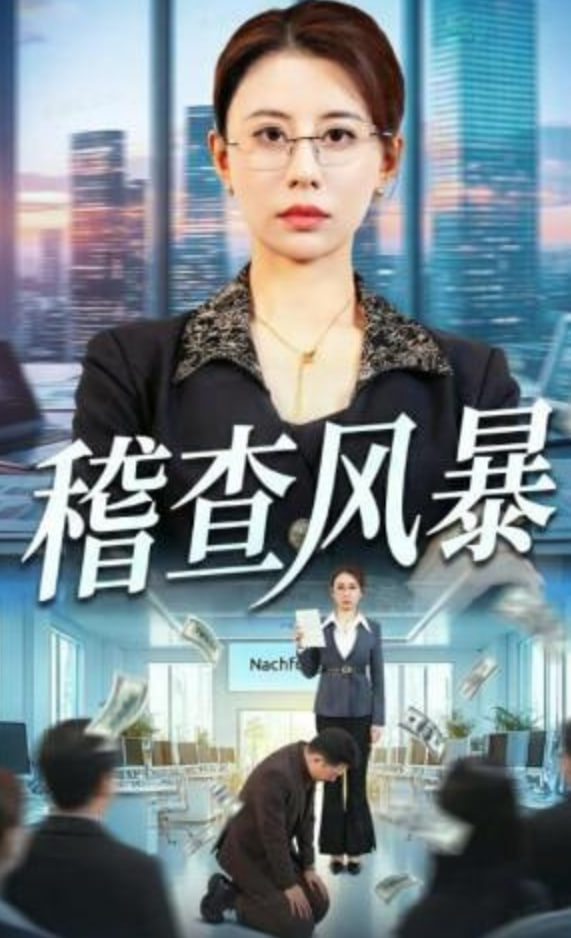 稽查风暴封面图