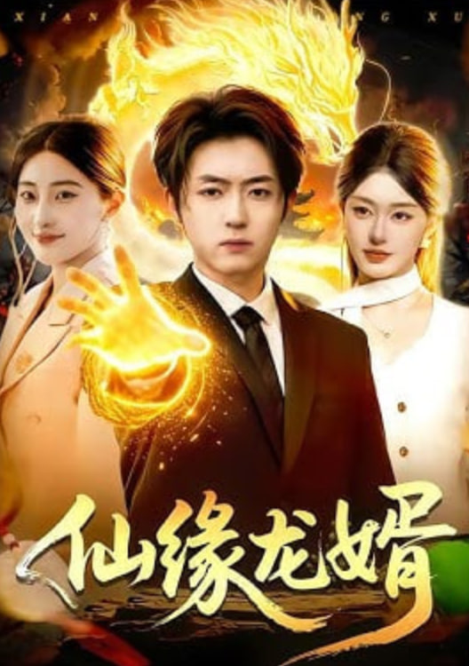 仙缘龙婿封面图